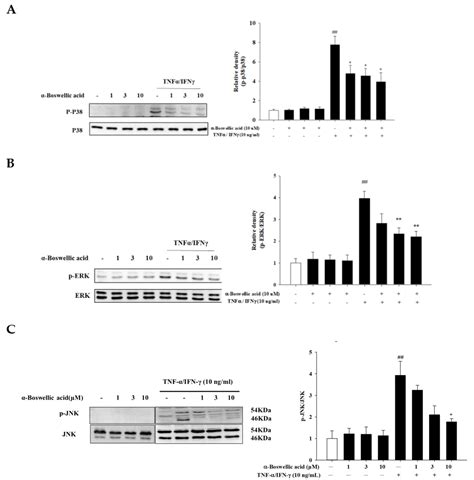 Ijms Free Full Text Evaluation Of The Anti Atopic Dermatitis