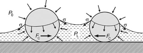 Schematic Presentation Of The Origin Of The Capillary Forces Between Download Scientific