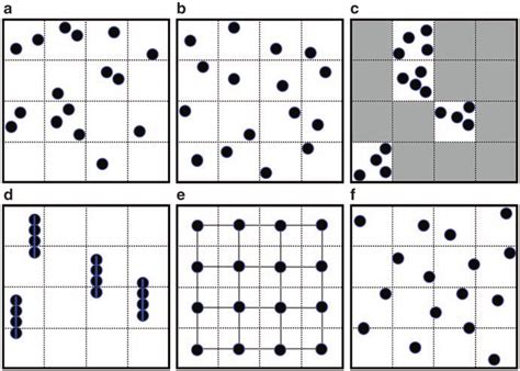 3 Examples Of Sampling Designs A Simple Random B Stratified