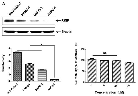 Epigallocatechin 3 Gallate Inhibits Invasion By Inducing The Expression