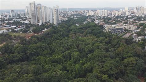 Cidade Arborizada Do Mundo Saiba Por Que Goi Nia Recebeu T Tulo Da Onu