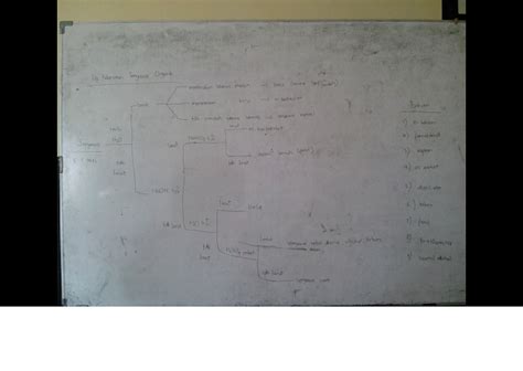 Organic Chemistry Uji Kelarutan Senyawa Organik