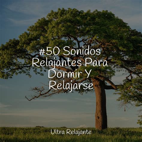 50 Sonidos Relajantes Para Dormir Y Relajarse Album by Meditación