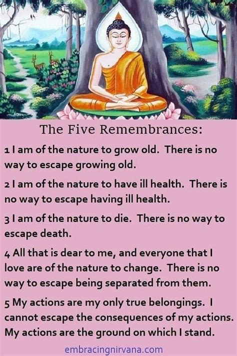 Pin by Lilly Echos on QUOTES/SAYINGS | Buddha teachings, Buddhism ...