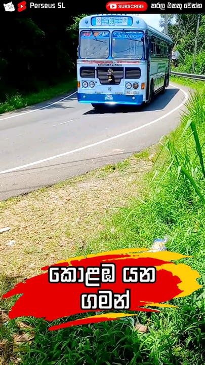 Root එක දන්න අය කියමු බලන්න 🤗 Busdriving Trucklovers Truckdriver