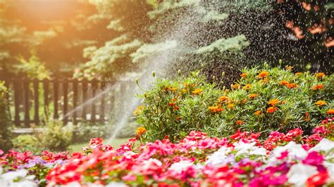 The Best Irrigation Systems For Flower Beds