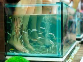 Benefits Of 'Tickling' Fish Spa? - Boldsky.com