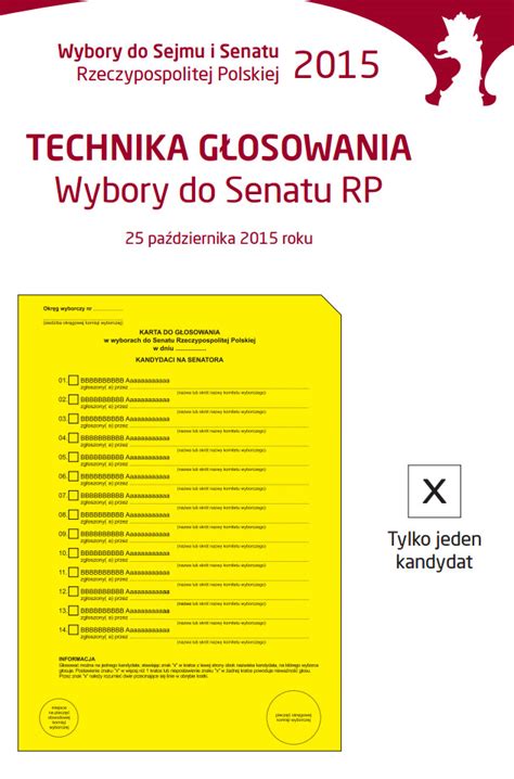 Zobacz jak wyglądają karty do głosowania Świnoujście w sieci