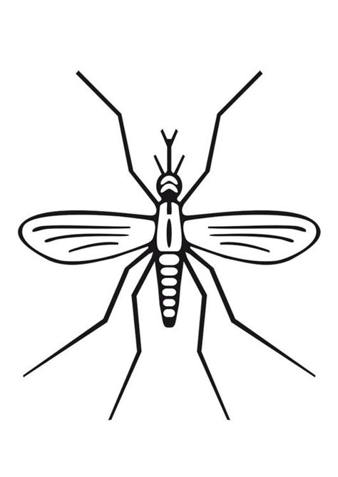 Free Mosquito Clipart Black And White, Download Free Mosquito Clipart ...