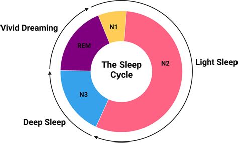 Schematic representation of human sleep cycle | Download Scientific Diagram