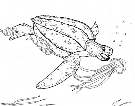 Leatherback Sea Turtle Coloring Page