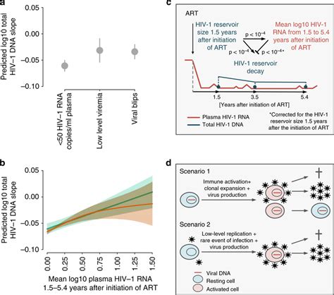 The Interplay Of Residual Viremia And Hiv 1 Reservoir Size And Download Scientific Diagram