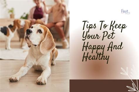 Tips To Keep Your Pet Happy And Healthy Fast Esa Letter