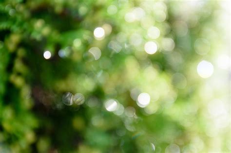 Premium Photo Bright Green Bokeh Natural Background