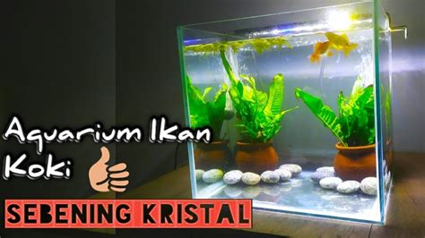 Membuat Aquarium Ikan Mas Koki Dengan Tanaman Aquascape YouTube