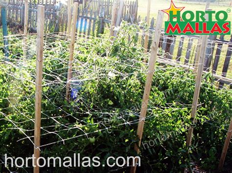 Install Nylon Trellis Netting For A Transformed And Productive Garden