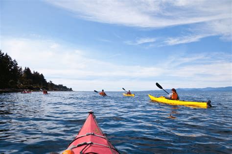 5 Exciting Parksville Qualicum Beach Adventures That Will Make You