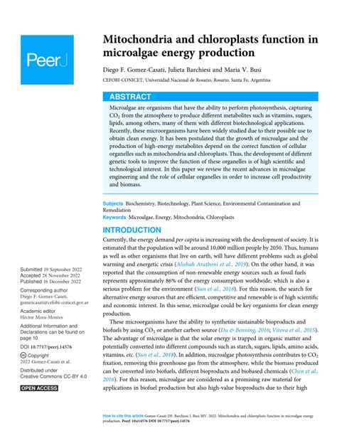 (PDF) Mitochondria and chloroplasts function in microalgae energy production