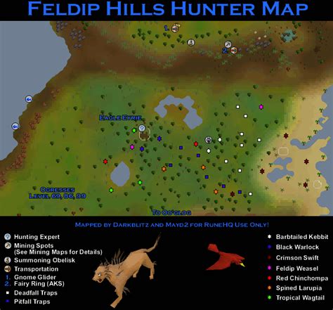 Feldip Hills Hunter Map - RuneScape Guide - RuneHQ