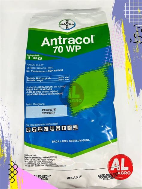 1KG Bayer Antracol 70WP Propineb 80 0 Racun Kulat Fungicide Cili