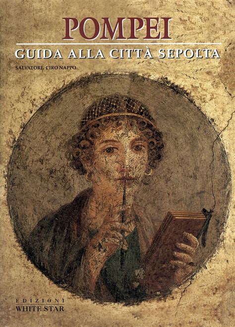 Pompei Guida Alla Citt Sepolta Ediz Illustrata Nappo Salvatore C