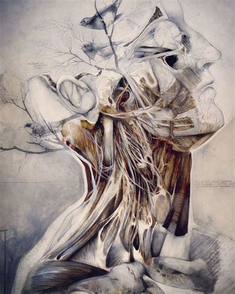 Nunzio Paci Anatomy Art Painting Beautiful Drawings