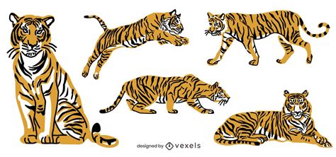 Tiger Illustration Animal Pack Vector Download