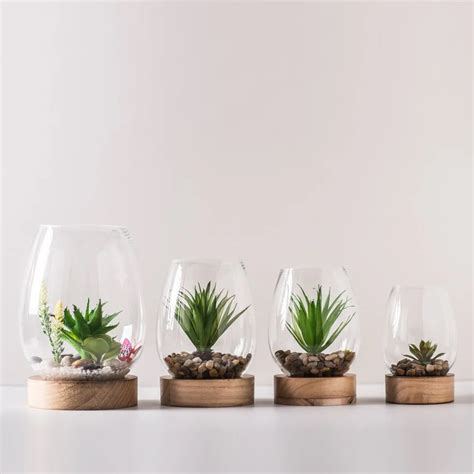 Vase En Verre Transparent Ovale Terrarium Avec Base En Bois Pour