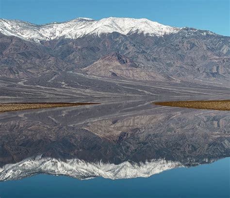 Death Valley is in bloom, temporary lake still there