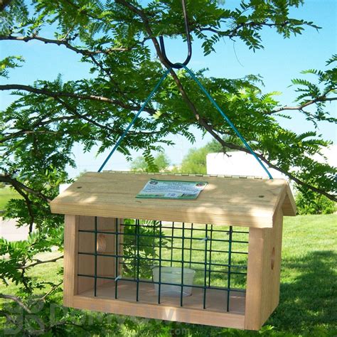 Songbird Essentials Protected Bluebird Jail Feeder Sesc1040