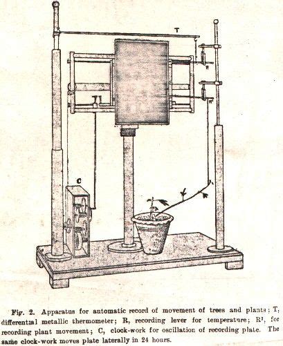 Crescograph: Apparatus for Plant Movement Recording