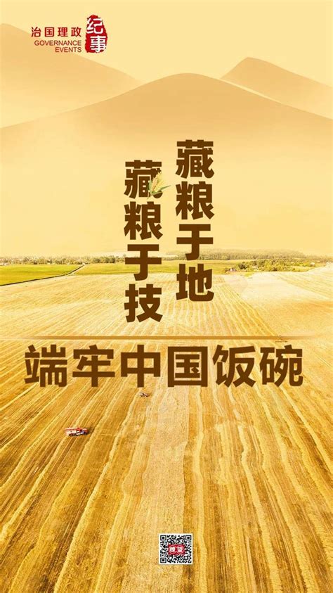 瞭望·治国理政纪事丨藏粮于地藏粮于技 端牢中国饭碗耕地田长生产能力