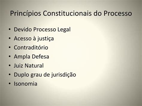 Ppt Teoria Geral Do Processo Princ Pios Constitucionais Powerpoint