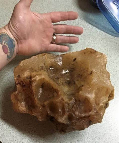 My Largest Find Agates