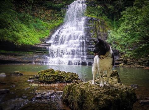 Tennessee Is Hot But It Is Beautiful Scrolller