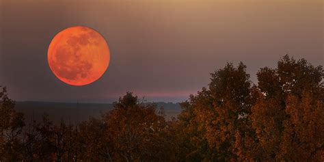 Harvest Moon: Where and When to See the Full Moon in 2021