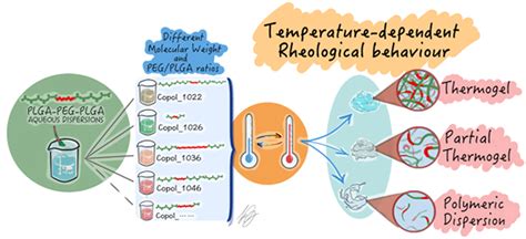 Insights In The Rheological Properties Of PLGA PEG PLGA Aqueous