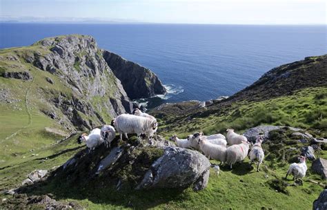 Slieve League Cliffs | Ireland.com