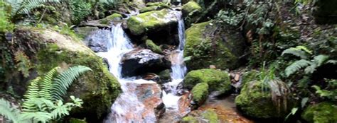 Durante la Semana Santa permanecerá cerrado sendero de quebrada La