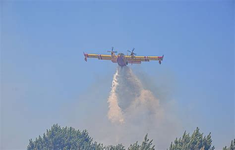 Incendies En Bretagne Le Feu « Fixé Dans Le Sud Des Monts Darrée