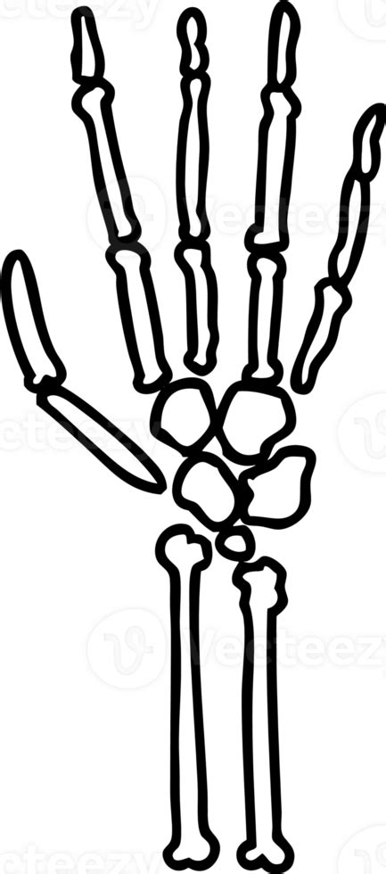 cartoon skeleton hand 45038115 PNG