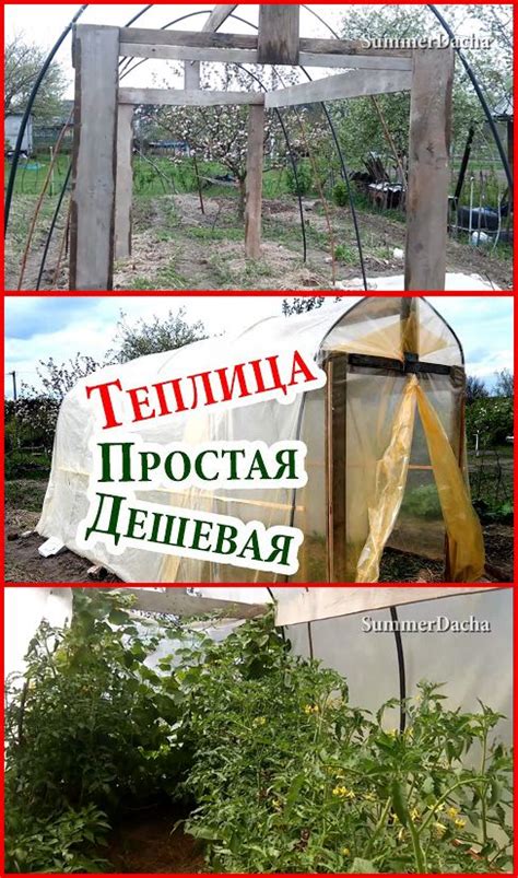 ️ ТЕПЛИЦА — ПРОСТАЯ и ДЕШЕВАЯ | Как построить бюджетную теплицу