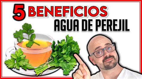 5 BENEFICIOS del PEREJIL que DESCONOCIAS No DEJARÁS de tomarlo