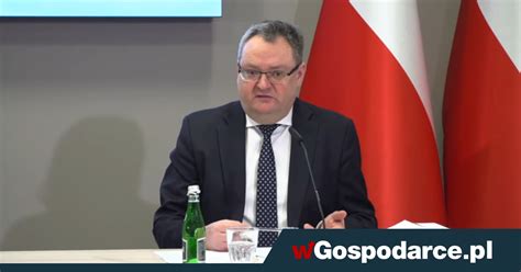 NBP W Tym Roku Polski PKB Czeka Wzrost O 4 1 Proc WGospodarce Pl