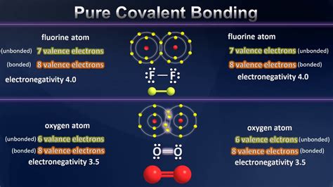 Nature Covalent Bond Infographic Diagram Showing Examples, 40% OFF