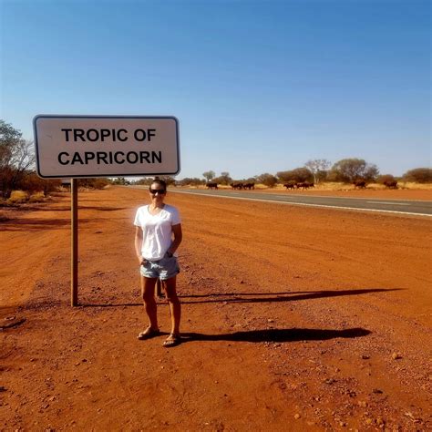 Newman: Experience The Heart of the Pilbara - The Insightful Odyssey