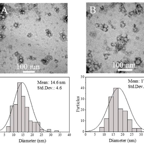 Tem Micrographs And Size Distribution Histograms Of The Synthesis