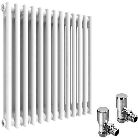 Elegant Traditional Radiator X Mm Horizontal Double Column Cast