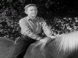 The Adventures Of Champion The Wonder Horse: Johnny Hands Up - TV Guide