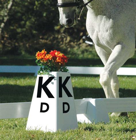 The Meaning Behind Dressage Arena Letters